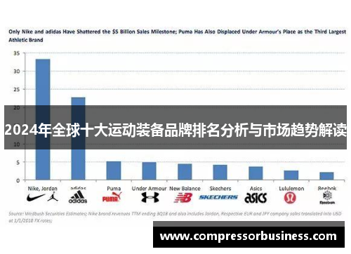 2024年全球十大运动装备品牌排名分析与市场趋势解读