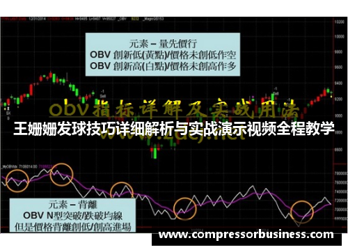 王姗姗发球技巧详细解析与实战演示视频全程教学