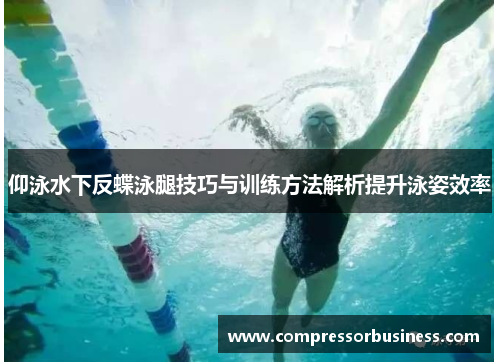 仰泳水下反蝶泳腿技巧与训练方法解析提升泳姿效率
