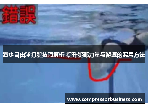 潜水自由泳打腿技巧解析 提升腿部力量与游速的实用方法