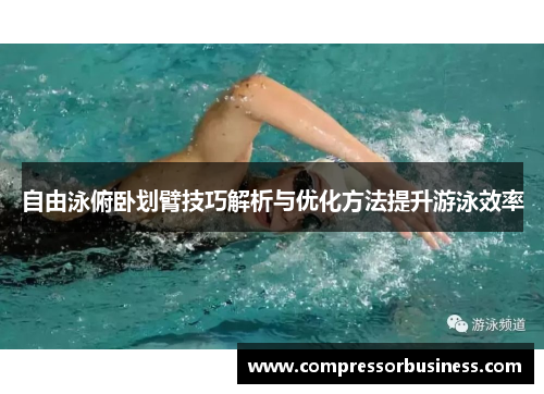 自由泳俯卧划臂技巧解析与优化方法提升游泳效率
