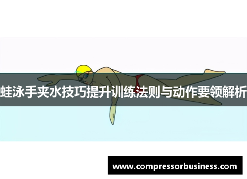 蛙泳手夹水技巧提升训练法则与动作要领解析