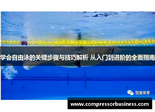 学会自由泳的关键步骤与技巧解析 从入门到进阶的全面指南